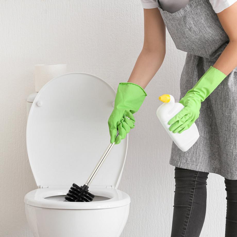 B2X  5 Ersatz-Toilettenbürsten 