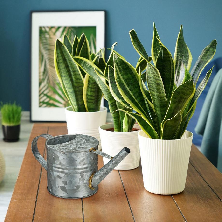 B2X Carafe à eau en métal  