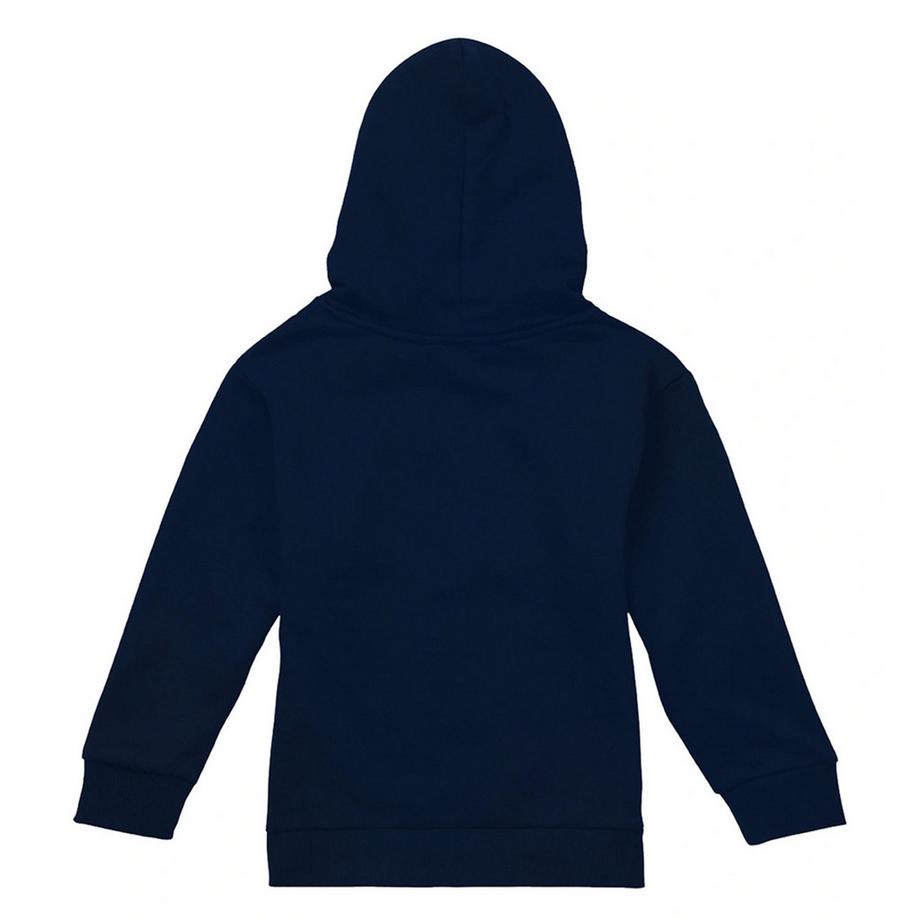 Pink Floyd  Sweat À Capuche Allseeing Prism 