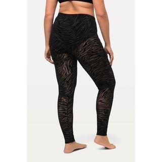 Ulla Popken  Strumpf-Leggings, Mesh, Animalmuster 