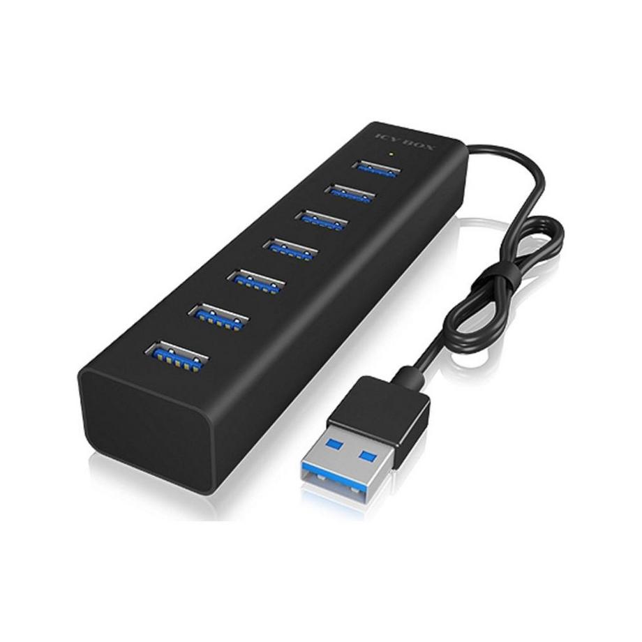 RaidSonic  RAIDSONIC 