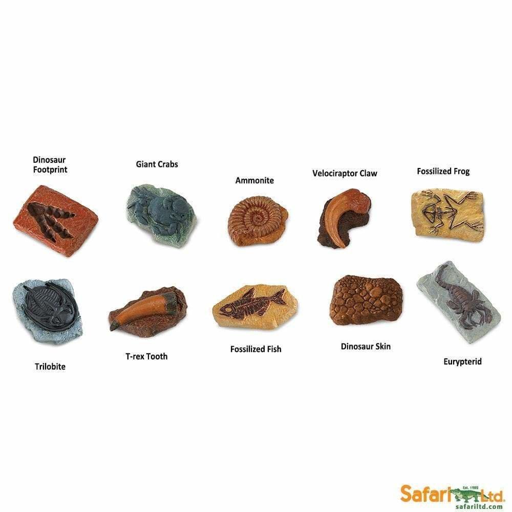 Safari  Toob Alte Fossilien (10Teile) 