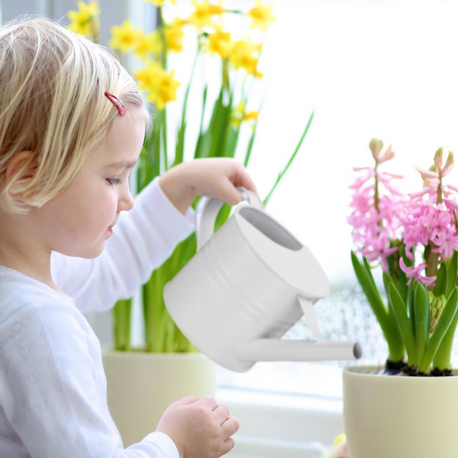 B2X Wasserkrug Metall  