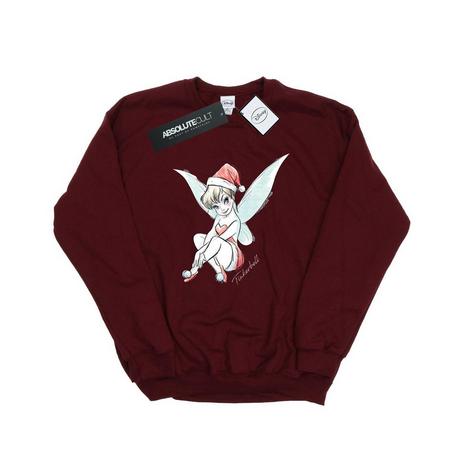 Disney  Fairy Sweatshirt 