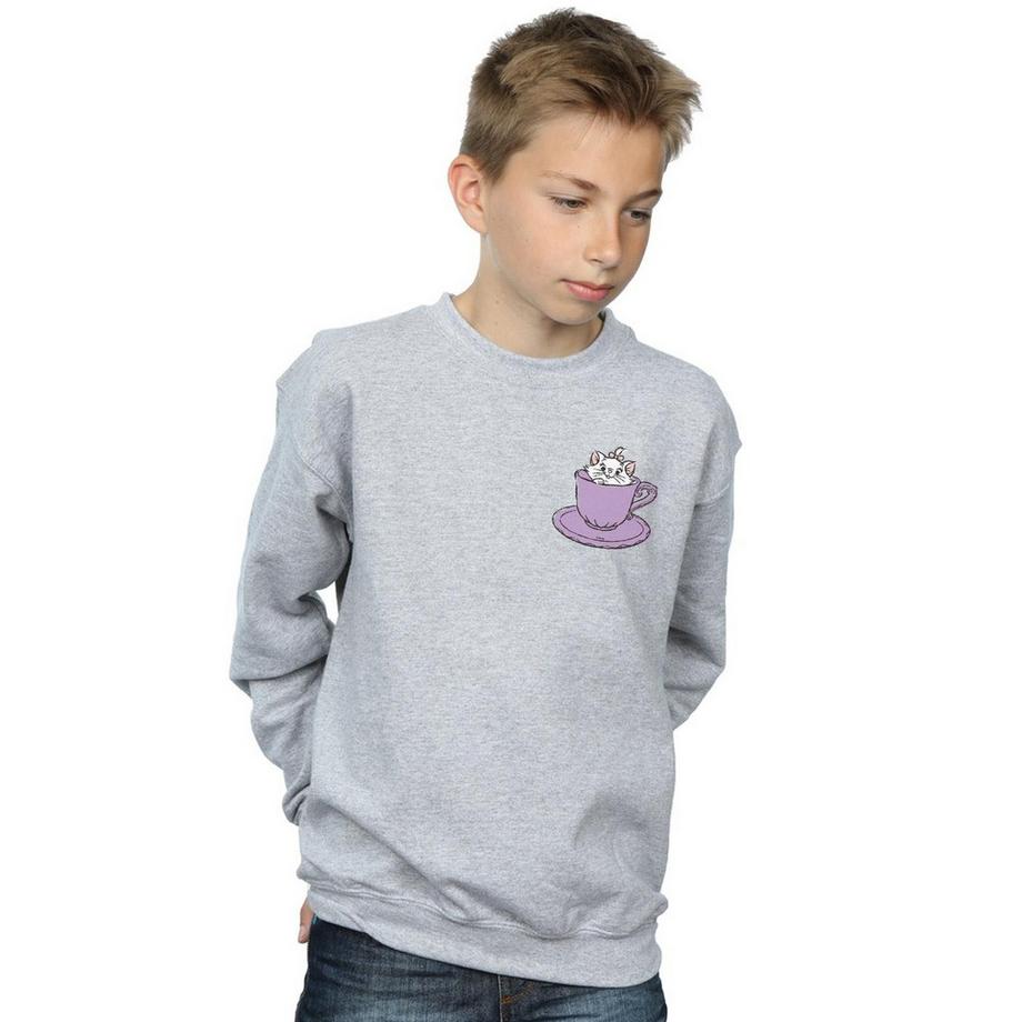 Disney  Aristocats Sweatshirt 