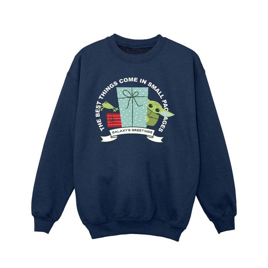 Sweat THE MANDALORIAN GALAXY'S GREETINGS