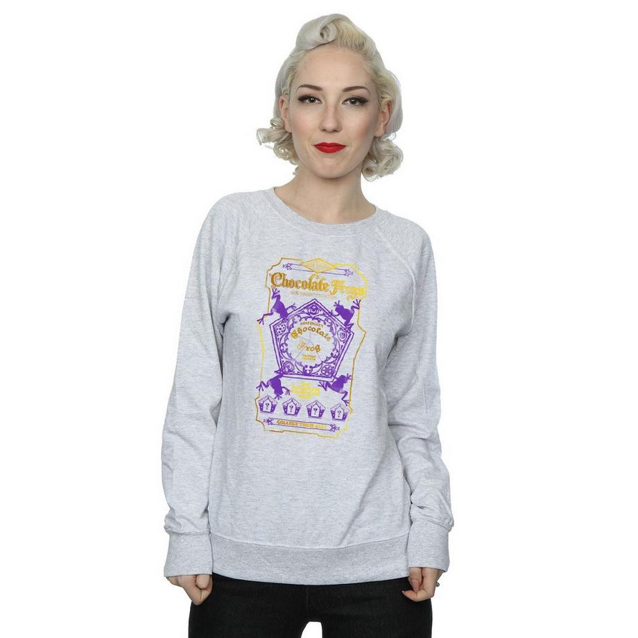 Harry Potter Chocolate Frog Imprimé Graphique Sweatshirt  