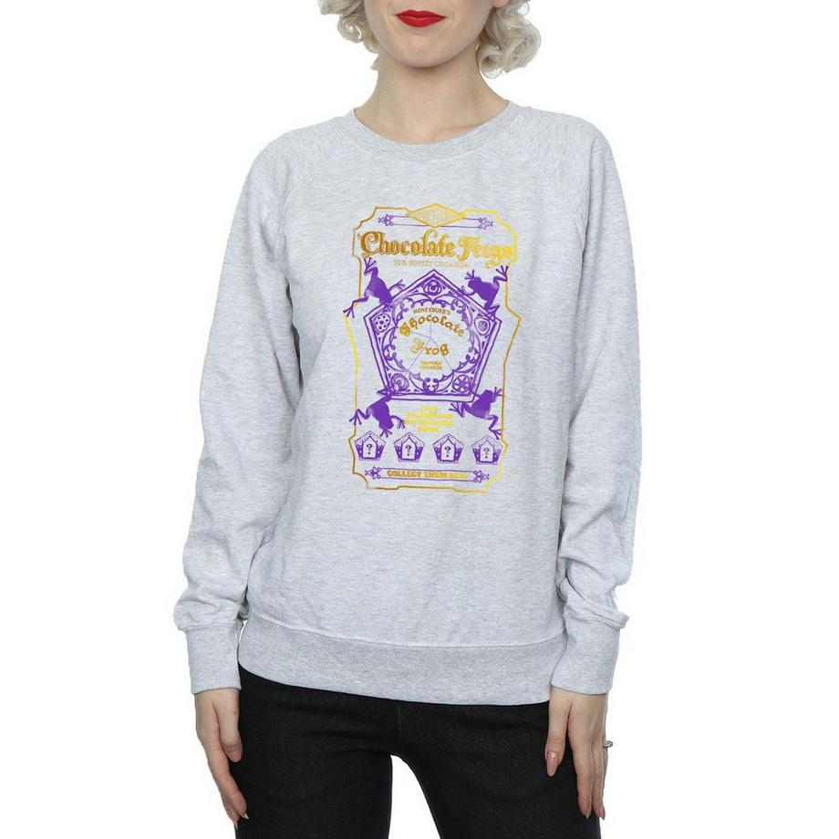 Harry Potter Chocolate Frog Imprimé Graphique Sweatshirt  
