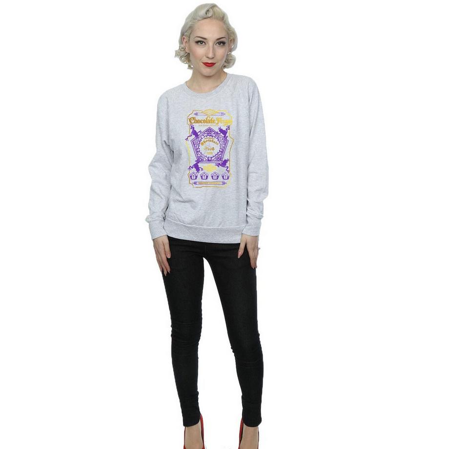 Harry Potter Chocolate Frog Imprimé Graphique Sweatshirt  