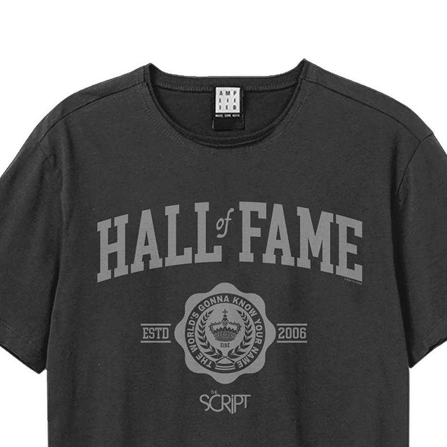 Amplified T-shirt Hall Of Fame  