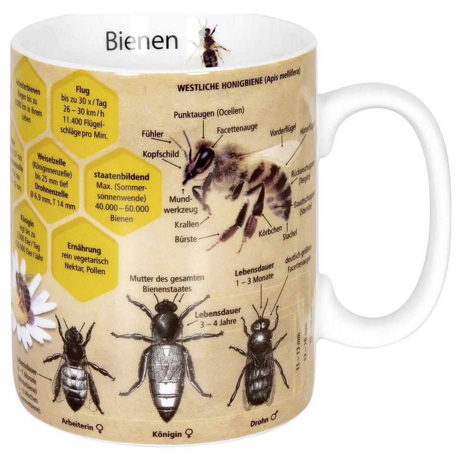 KÖNITZ Kaffeetasse Biene  