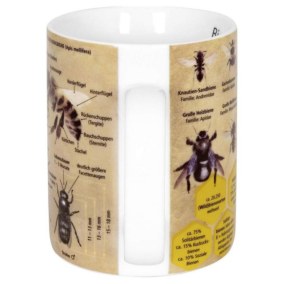 KÖNITZ Kaffeetasse Biene  