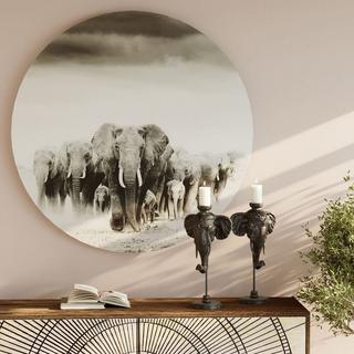 KARE Design Image en verre Elephant Walk around 120  