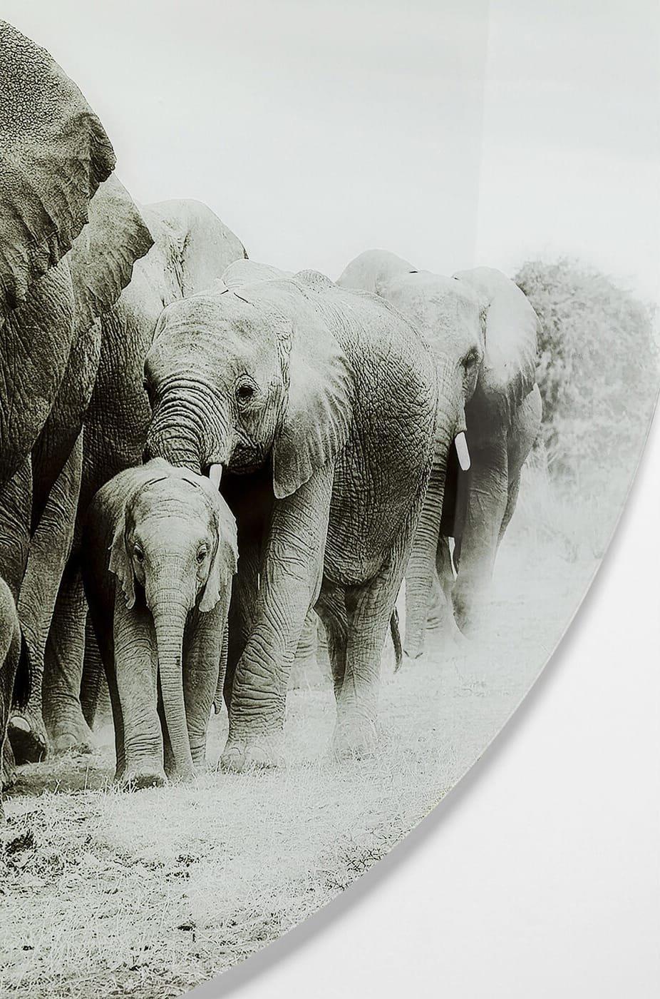 KARE Design Glasbild Elephant Walk rund 120  