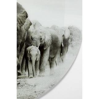 KARE Design Glasbild Elephant Walk rund 120  