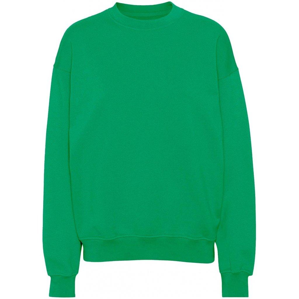 Colorful Standard  Sweatshirt mit Rundhalsausschnitt  Organic oversized kelly green 