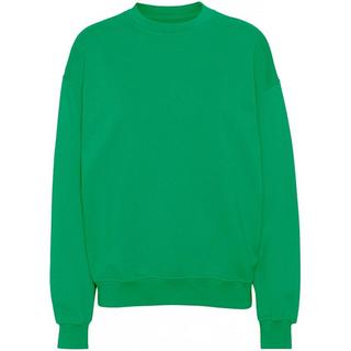 Colorful Standard  Sweatshirt mit Rundhalsausschnitt  Organic oversized kelly green 