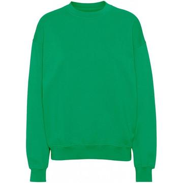 Sweatshirt mit Rundhalsausschnitt  Organic oversized kelly green