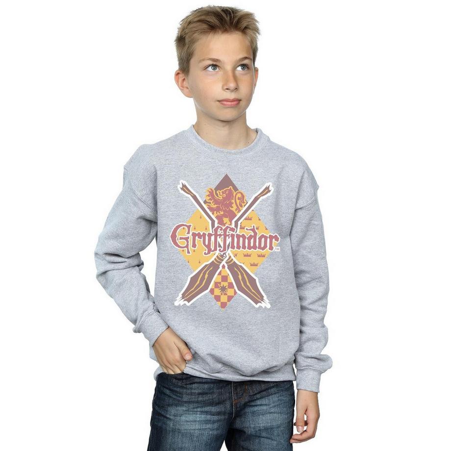 Harry Potter  Sweat GRYFFINDOR LOZENGE 