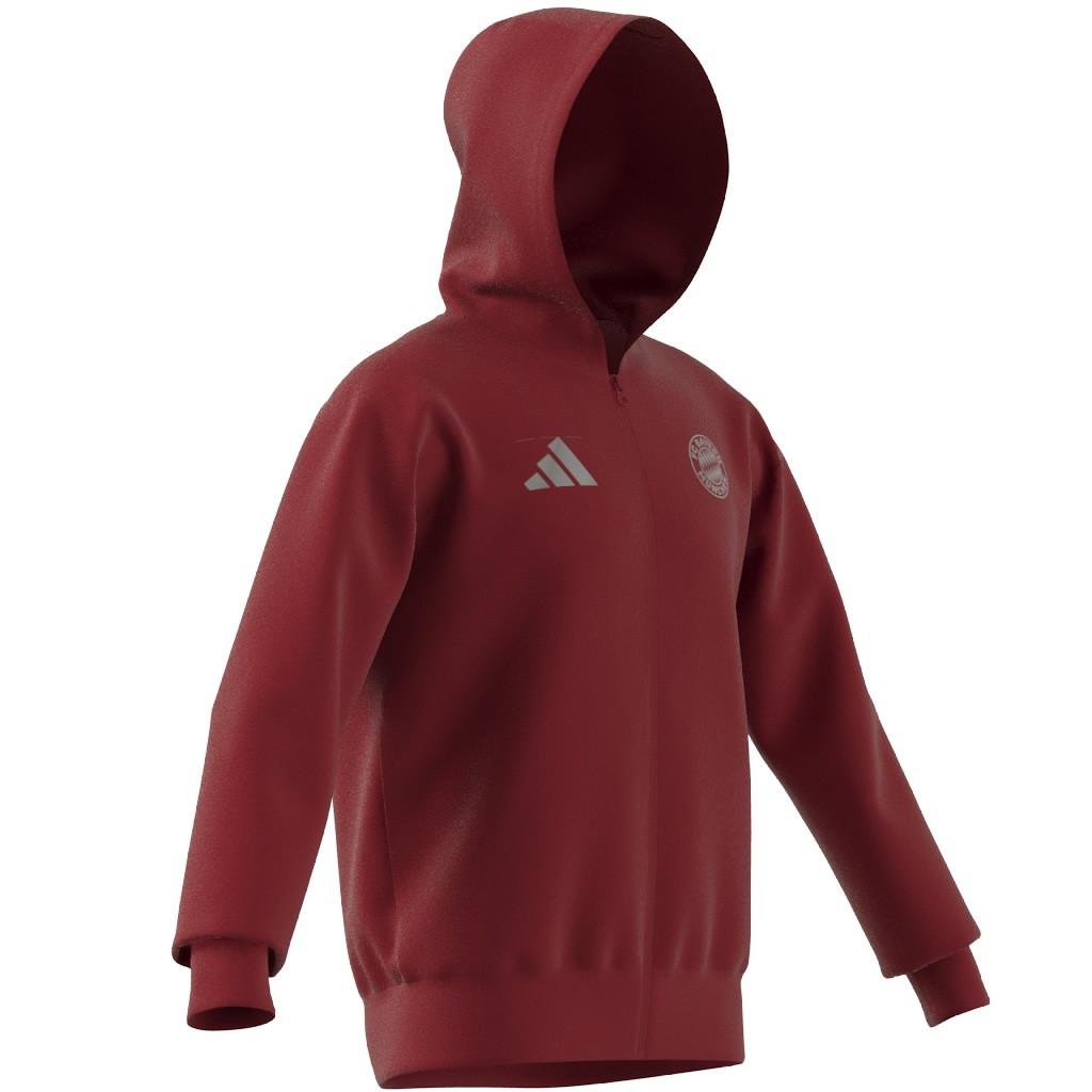 adidas  veste de survêtement bayern munich anthem 2024/25 