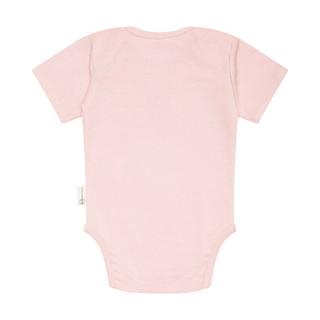 Steiff  Body pour Bébé 