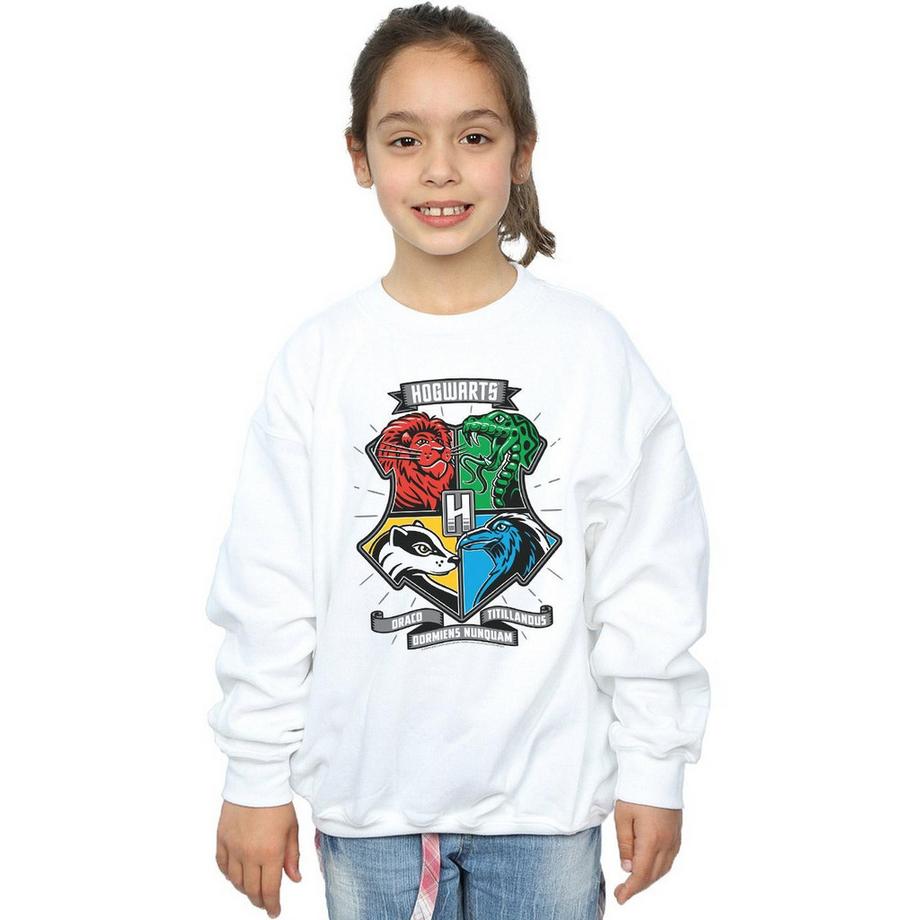 Harry Potter  Hogwarts Sweatshirt 