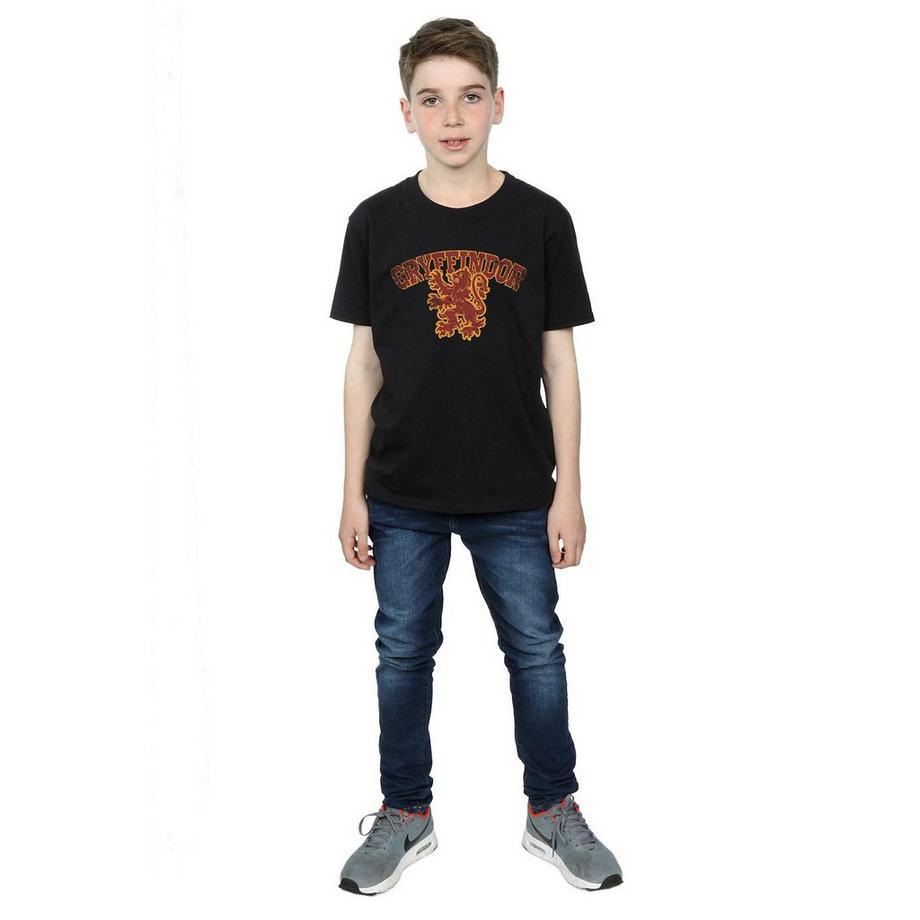 Harry Potter  Gryffindor TShirt 
