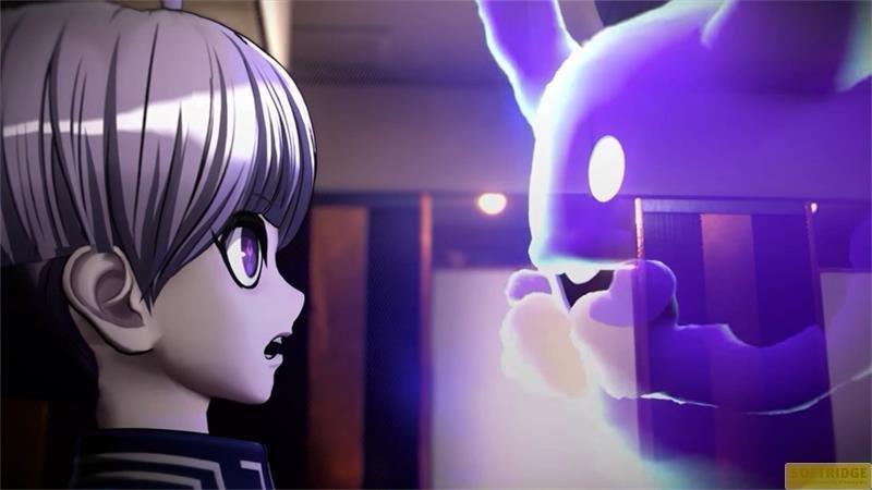 Nintendo  Switch MD Archives Rain Code Mysteriful LE, Switch 