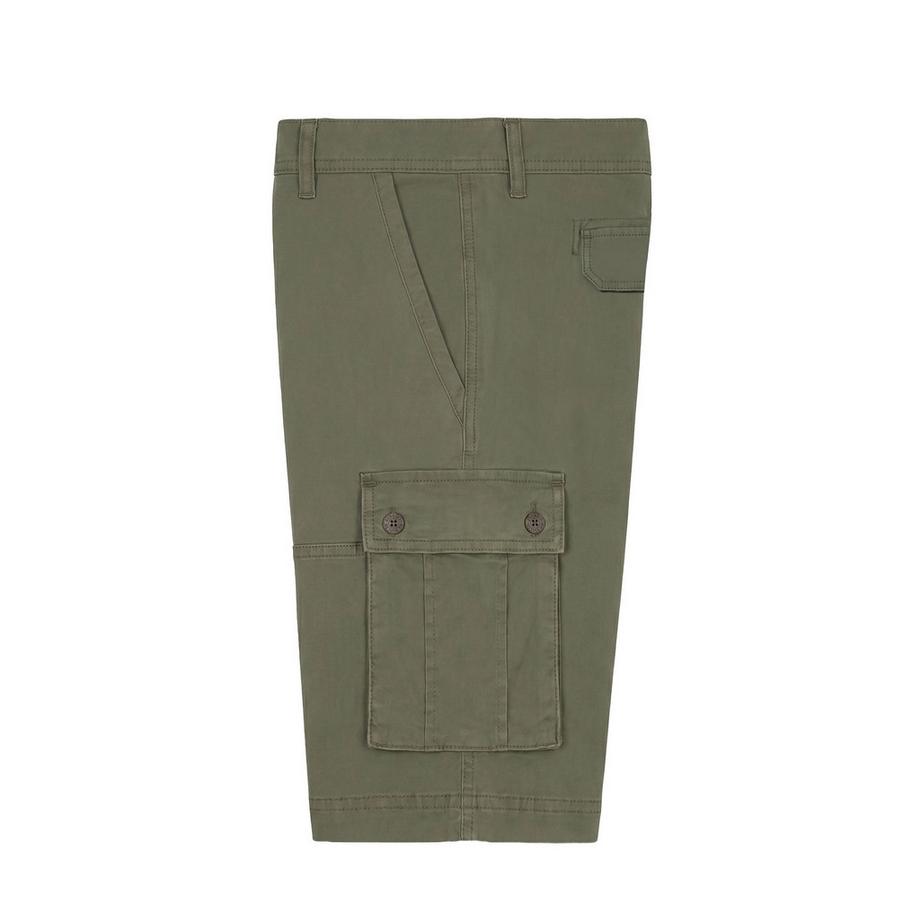 U.S. Polo Assn. Shorts Cargo Forest  