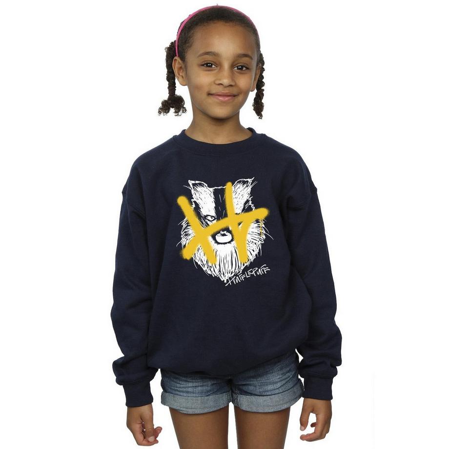 Harry Potter  Hufflepuff Sweatshirt 