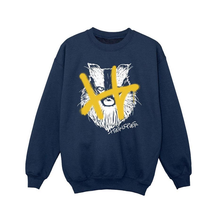 Harry Potter  Hufflepuff Sweatshirt 
