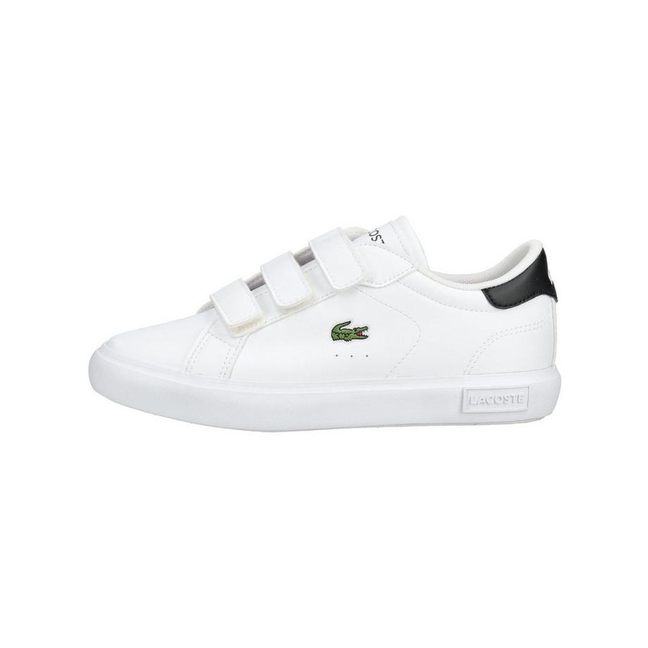 LACOSTE Sneaker à scratch  