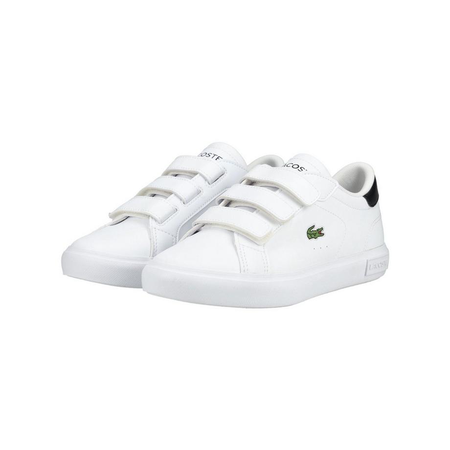 LACOSTE Sneaker à scratch  