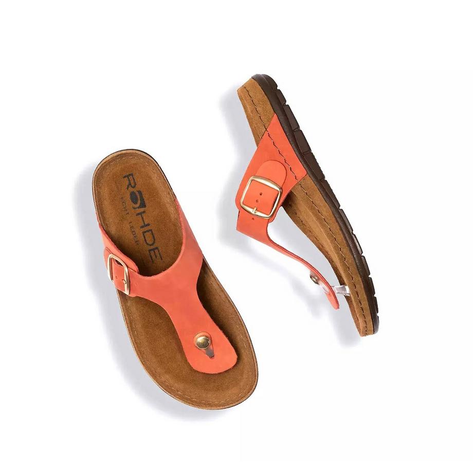 Rohde Rodigo Sandale en Cuir  