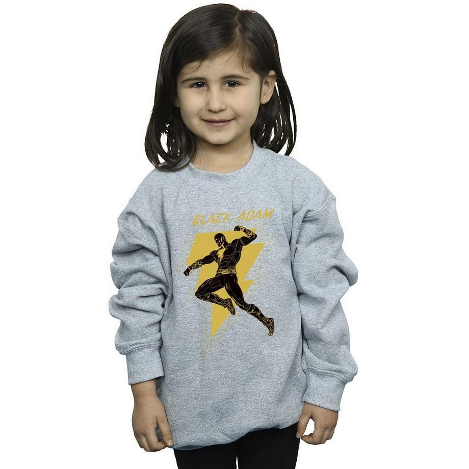 DC COMICS  Sweatshirt 