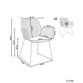 Beliani Set di 2 sedie en Acciaio Moderno APPLETON  