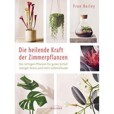 Die heilende Kraft der Zimmerpflanzen Bailey, Fran; Weiß, Claudia Maria (Übersetzung) Copertina rigida 