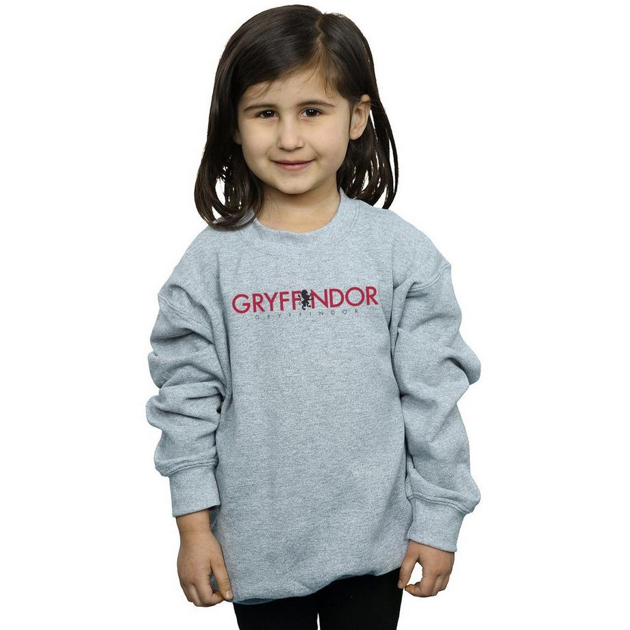 Harry Potter  Gryffindor Sweatshirt 