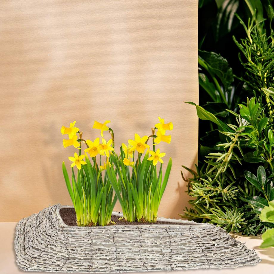 B2X Pot de fleurs triangulaire - lot de 2  