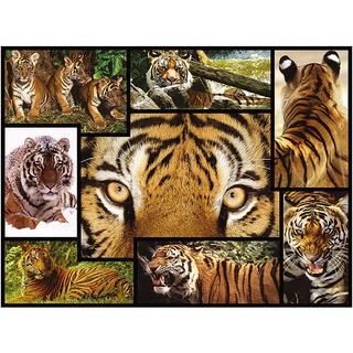 Ambassador  Puzzle Tiger (1000Teile) 