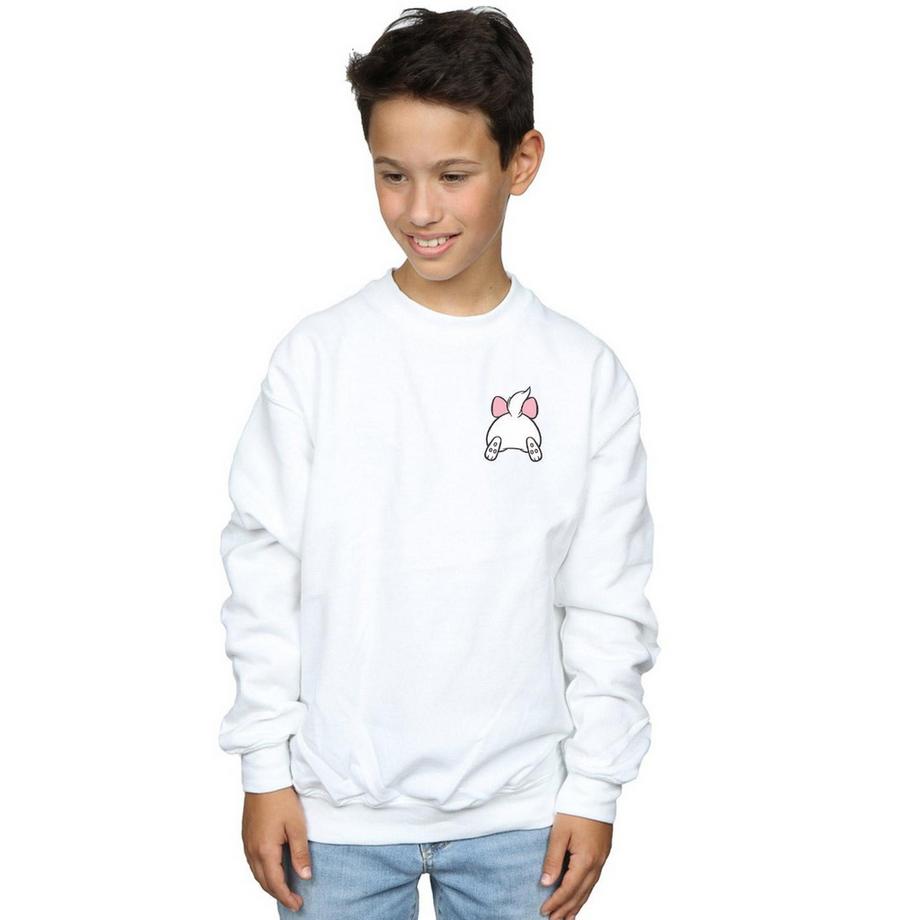 Disney  Aristocats Sweatshirt 