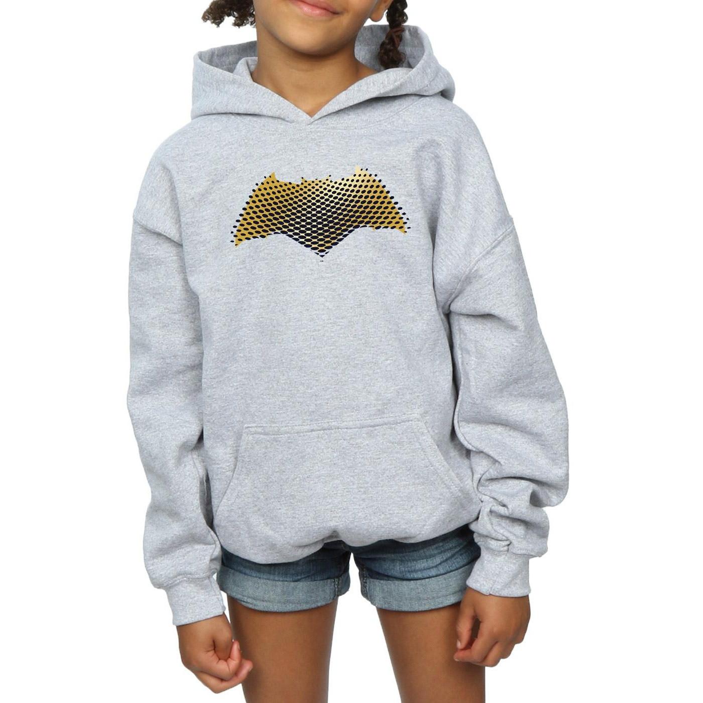 DC COMICS  Justice League Kapuzenpullover 