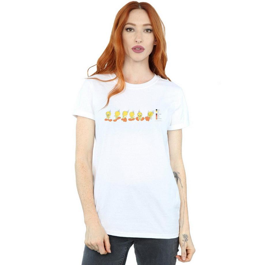 LOONEY TUNES Tweety Pie Colour Code T-Shirt  