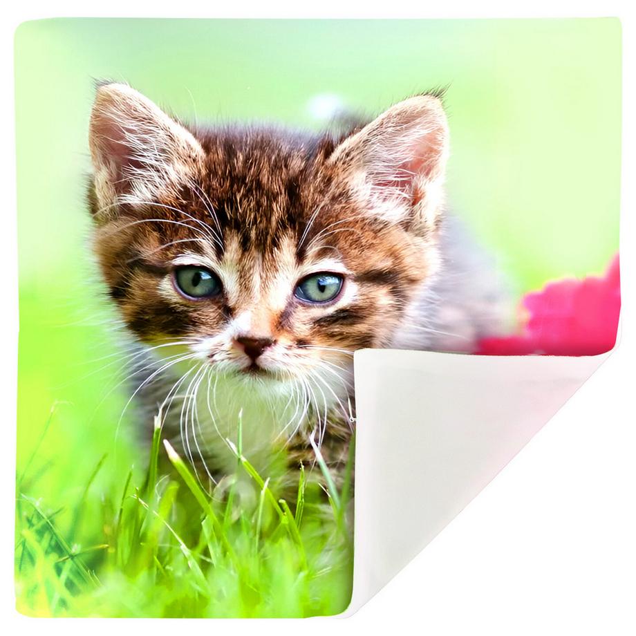 Avizar 2 Stk. Kissenbezüge Kätzchen im Garten  