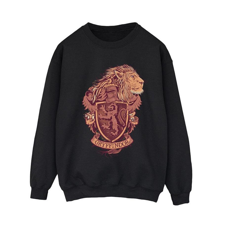 Gryffindor Sweatshirt