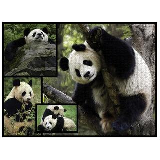 Ambassador  Puzzle Panda (1000Teile) 