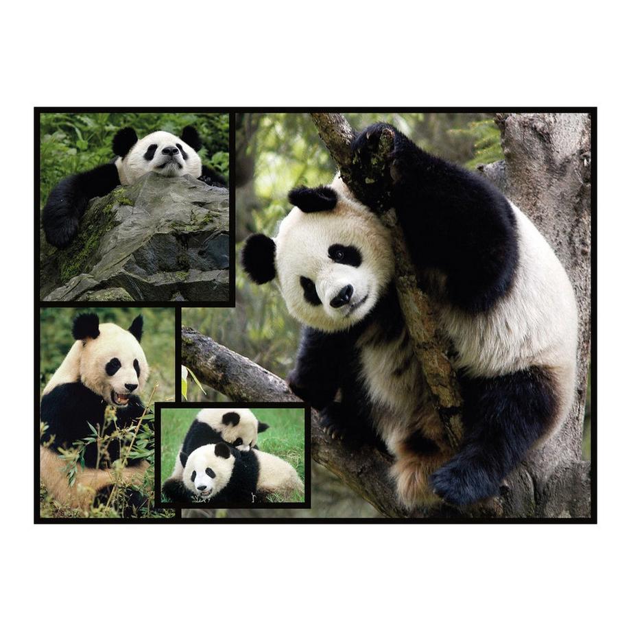 Ambassador  Puzzle Panda (1000Teile) 