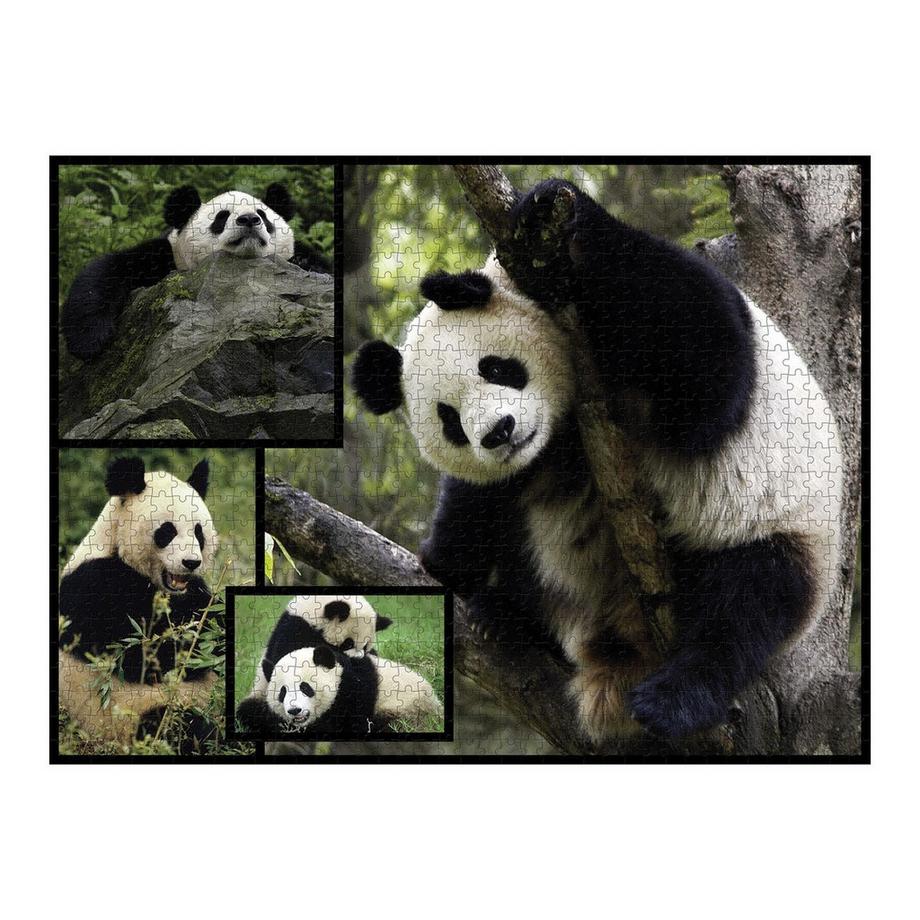 Ambassador  Puzzle Panda (1000Teile) 