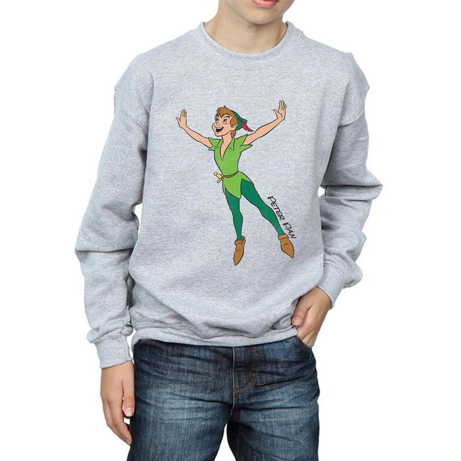 Disney  Sweatshirt 