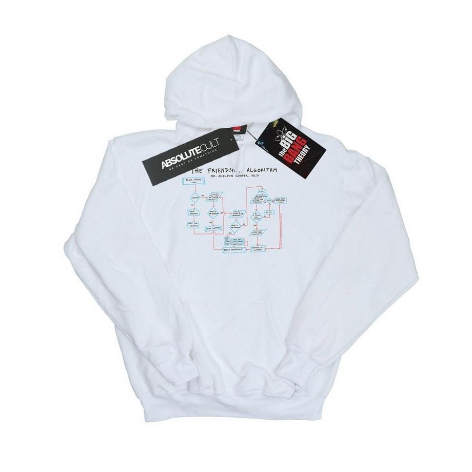 Friendship Algorithm Kapuzenpullover